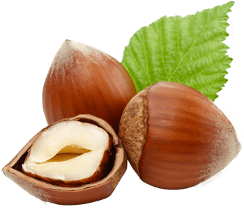 Hazelnut