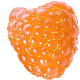 Yellow raspberry