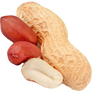 Roasted peanut