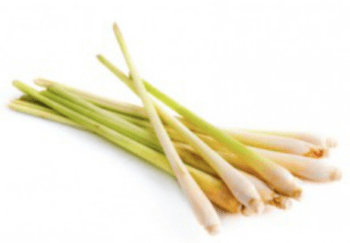 Lemongrass