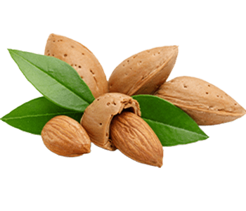 Almond