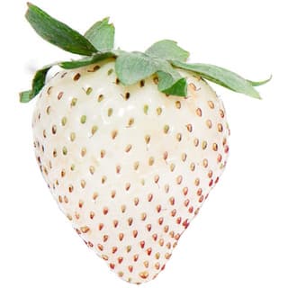 White strawberry