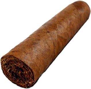 Nicaraguan cigar absolute