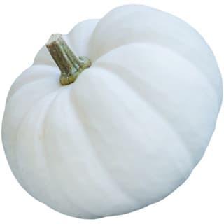 White pumpkin