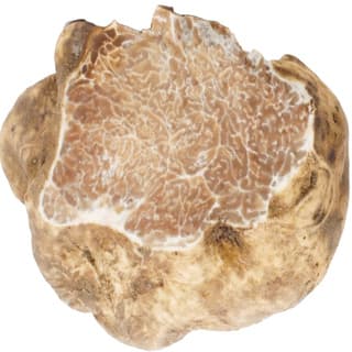 White Alba truffle