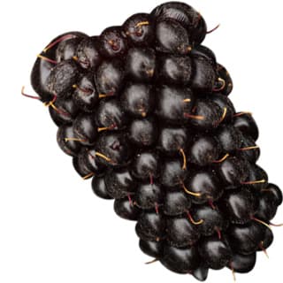 Boysenberry