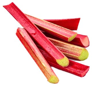 Wild rhubarb