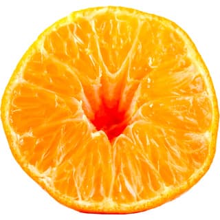 Corsican clementine