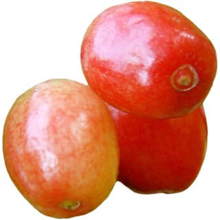 Cornelian cherry