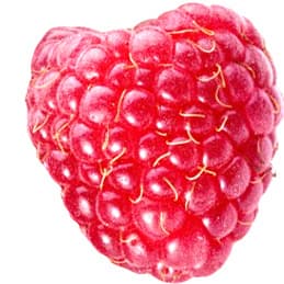 Forest raspberry