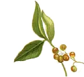 Henna CO2