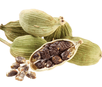 Cardamom absolute