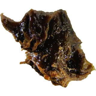 Turkish galbanum