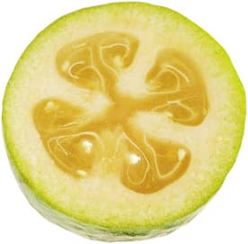 Mexican guava