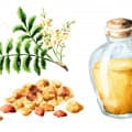 Balsamic