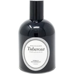 Tuberosa