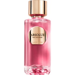 Absolue - Hot As Rose