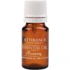 Essential Oil - Rosemary