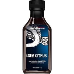 Sea Citrus (Dopobarba 0% Alcool)