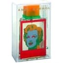Marilyn (rose)