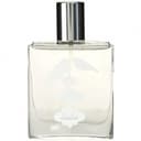 Sula Lovebirds Tropical