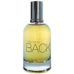 Turtle Vetiver Back