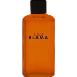 Amir Slama Raiz