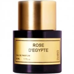 Rose d'Égypte