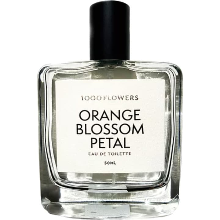 Orange Blossom Petal