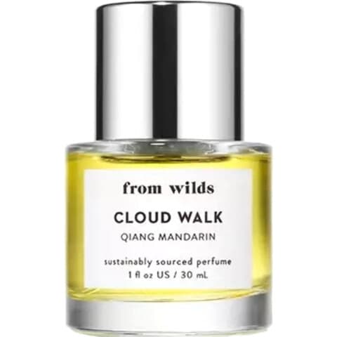 Cloud Walk EDP