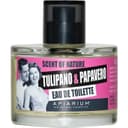 Tulipano & Papavero