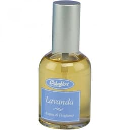 Lavanda