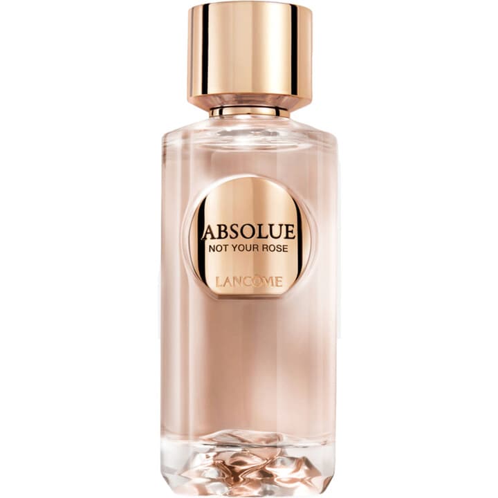 Absolue - Not Your Rose