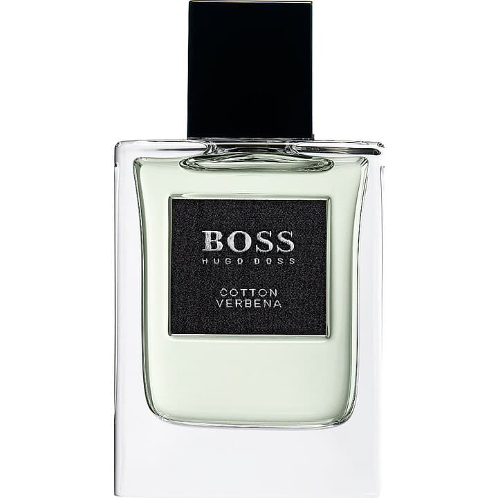 Boss Collection - Cotton Verbena