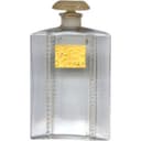 Les Jasmins de Tipaza / Jasmin de Tipaza