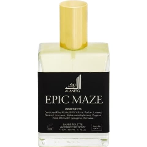 Epic Maze EDP