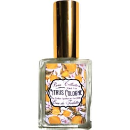 Paris Collection - Citrus Cologne