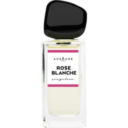 Rose Blanche