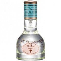 Sheer Champagne by Skinfood perfume bottle