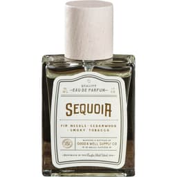 National Park Collection - Sequoia