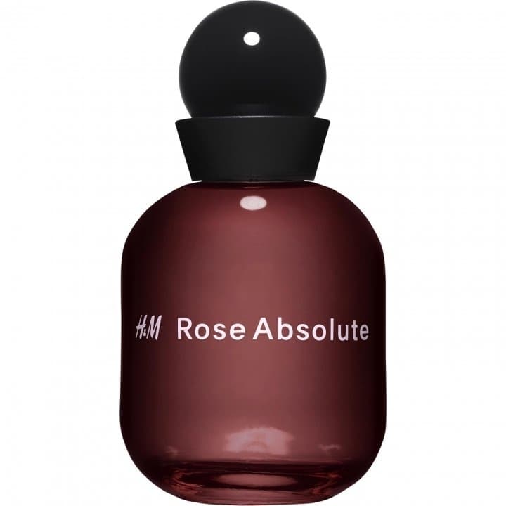 Rose Absolute EDP