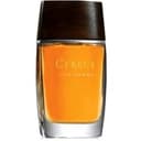 Pour Homme N° 14