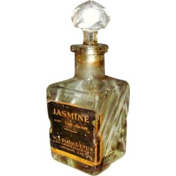 Jasmine