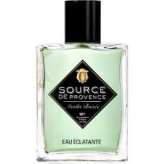 Eau Éclatante - Menthe Boisée