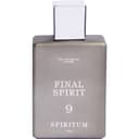 9 - Final Spirit