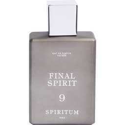 9 - Final Spirit