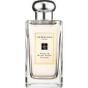 Peony & Blush Suede (Cologne)