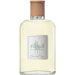 Polo Earth - Provencial Sage