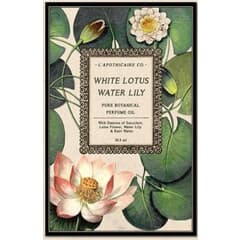 White Lotus Water Lily