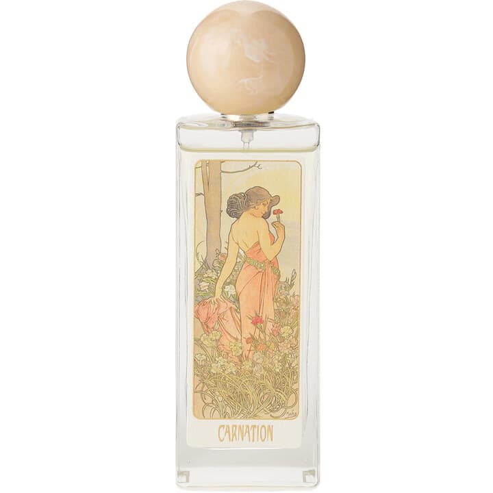 Carnation EDT / カーネーション